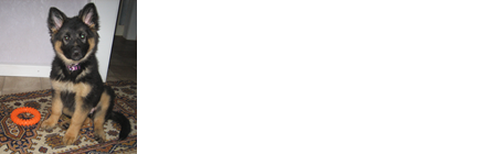 index.html